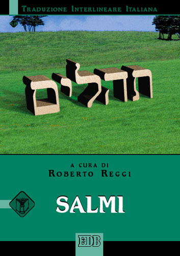 9788810820131-salmi 
